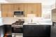 7212 S Euclid Unit 2, Chicago, IL 60649