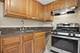 4335 N Sacramento Unit G, Chicago, IL 60618