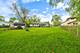 948 Carswell, Elk Grove Village, IL 60007