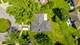 1161 E 171st, South Holland, IL 60473
