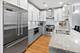 821 W Roscoe Unit 1, Chicago, IL 60657