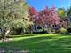 2027 Walnut, Hanover Park, IL 60133