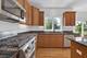 427 W Natoma, Addison, IL 60101