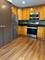 851 N Northwest Unit 2, Park Ridge, IL 60068