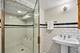 734 Gunderson, Oak Park, IL 60304