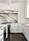 1319 Forest, Evanston, IL 60201