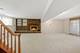 516 Janine, Schaumburg, IL 60193