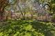 2724 Simpson, Evanston, IL 60201
