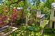 2724 Simpson, Evanston, IL 60201