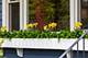 826 N Main, Naperville, IL 60563