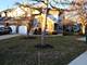 225 Willow, Buffalo Grove, IL 60089
