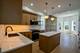 3608 W Wolfram, Chicago, IL 60618