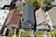 3310 N Harding, Chicago, IL 60618