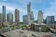 1255 S State Unit 1213, Chicago, IL 60605