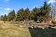17915 Crooked Creek, Orland Park, IL 60467