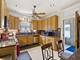 5320 N Lovejoy, Chicago, IL 60630