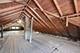 1037 Dunlop, Forest Park, IL 60130
