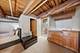 1727 S Indiana Unit 110, Chicago, IL 60616