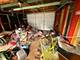 10003 S Exchange, Chicago, IL 60617