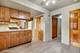 18N988 Angelina, Algonquin, IL 60102