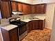 214 Chicago, Oak Park, IL 60302