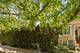 4924 N Seeley, Chicago, IL 60625