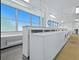1000 N Lake Shore Unit 2204, Chicago, IL 60611