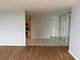 1000 N Lake Shore Unit 2204, Chicago, IL 60611