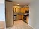 1000 N Lake Shore Unit 2204, Chicago, IL 60611