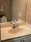 3124 Crystal Rock Unit 3124, Naperville, IL 60564
