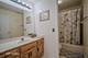 1713 Chestnut Hill, Plainfield, IL 60586