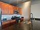 2323 W Pershing Unit 230, Chicago, IL 60609