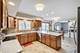 245 Old Forge, Elgin, IL 60123