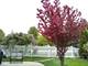 12440 S Bobwhite, Plainfield, IL 60585