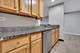 1919 Prairie Unit 32, Schaumburg, IL 60173
