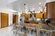 7410 W Lawrence Unit 218, Harwood Heights, IL 60706