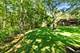 3540 Haweswood, Crete, IL 60417