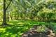 3540 Haweswood, Crete, IL 60417