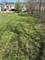 8323 S Buffalo, Chicago, IL 60617