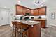 223 Willow, Geneva, IL 60134