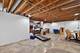 223 Willow, Geneva, IL 60134
