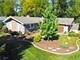 223 Willow, Geneva, IL 60134