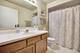 2936 Heatherwood Unit 19081, Schaumburg, IL 60194