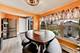 6732 W Rascher, Chicago, IL 60656