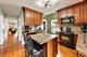 6732 W Rascher, Chicago, IL 60656