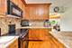6732 W Rascher, Chicago, IL 60656