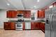 9100 Lamon Unit 1N, Skokie, IL 60077