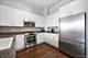1546 N Orleans Unit 1001, Chicago, IL 60610