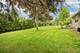 117 E 55th, Westmont, IL 60559