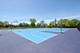 834 E Old Willow Unit 209, Prospect Heights, IL 60070